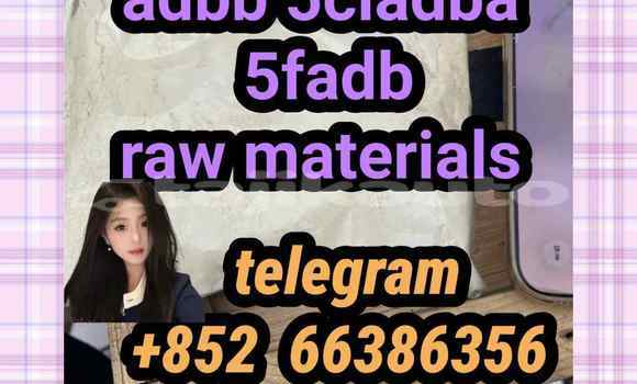 Medium with watermark 15
