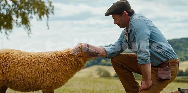 Big with watermark the sheep detectives