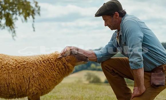 Medium with watermark the sheep detectives