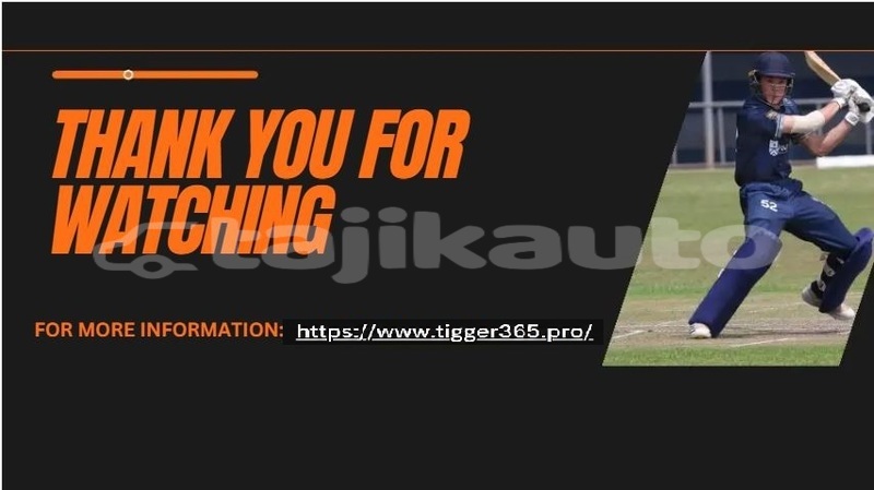 Big with watermark tiger2