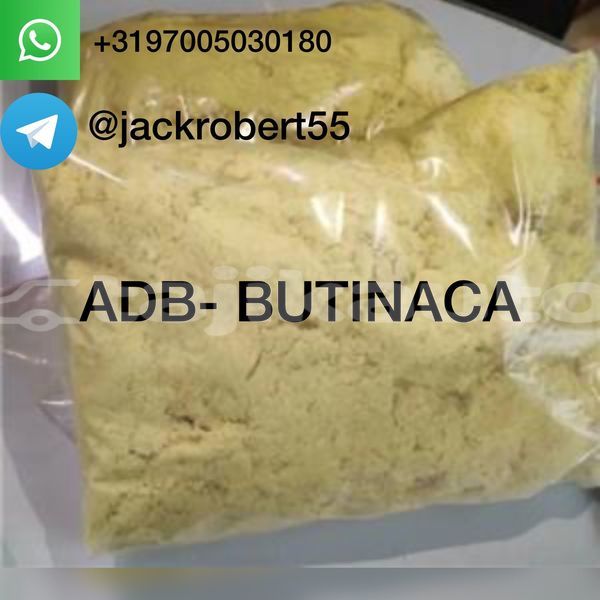 Big with watermark whatsapp image 2026 06 18 at 12.22.01 pm 1 