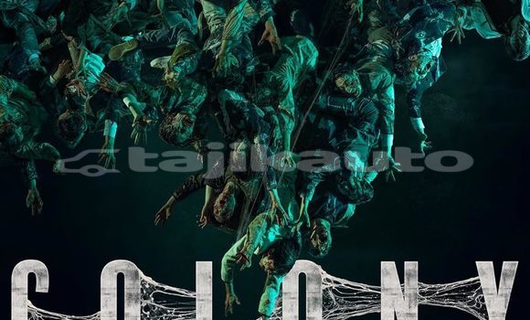 Medium with watermark clny 