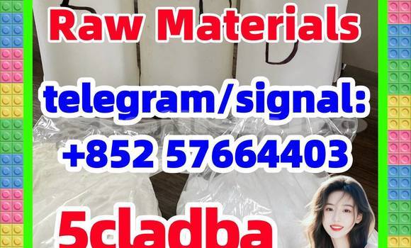 Medium with watermark 54