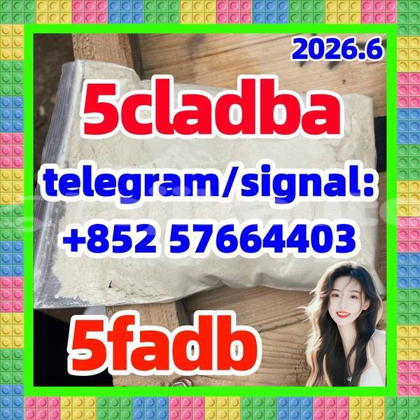 Big with watermark 55