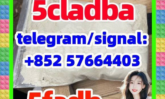 Medium with watermark 55