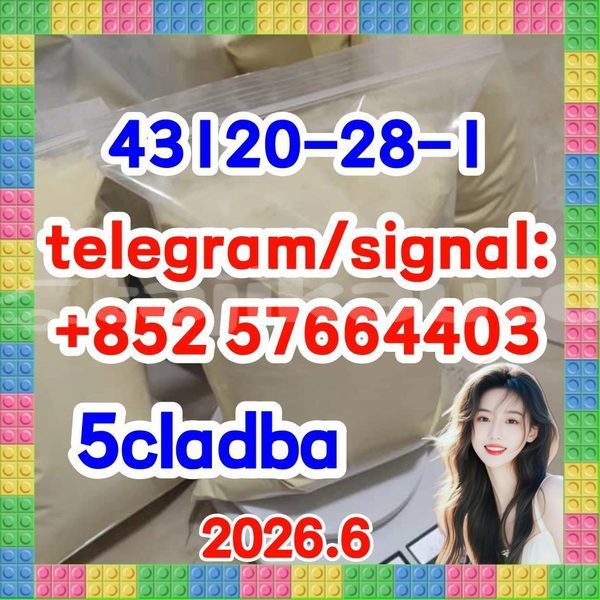 Big with watermark 511