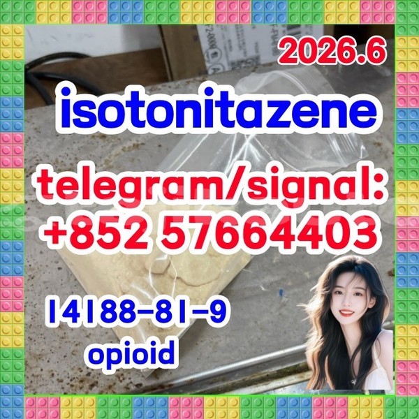 Big with watermark i1