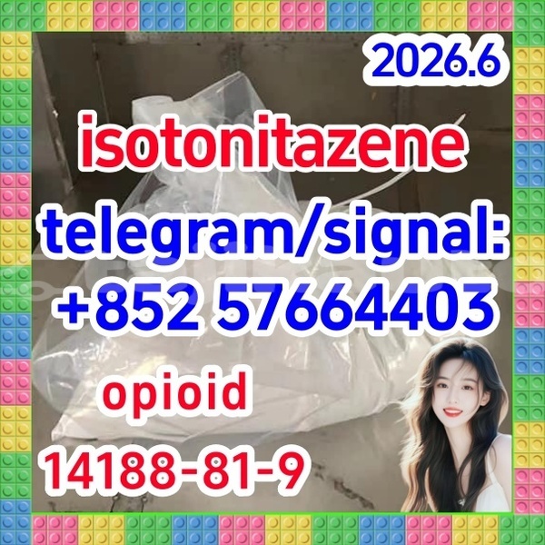 Big with watermark i2
