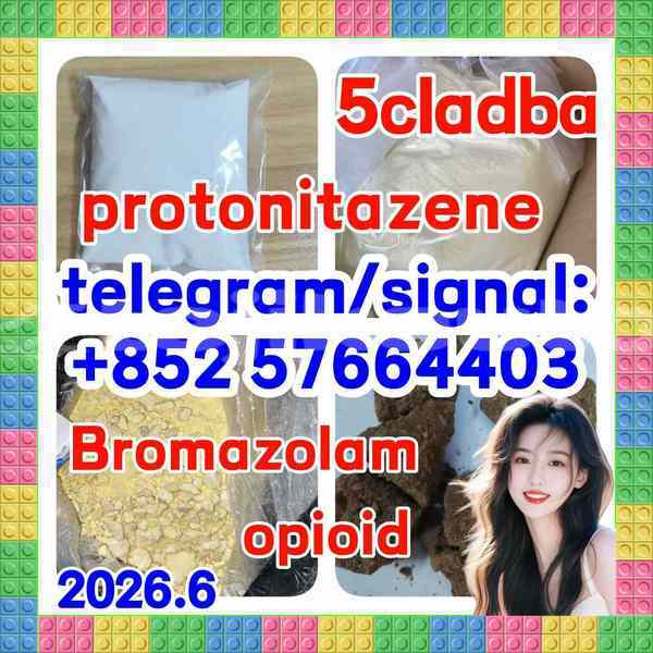 Big with watermark z2