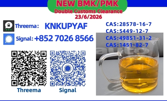 Buy Used Alpina B10 Black Car in Ayni in Sughd