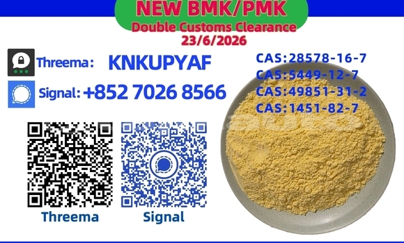 Buy Used Alpina B4 Black Car in Chorku in Sughd