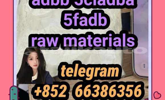 Medium with watermark 6