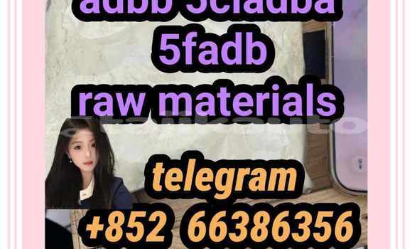 Medium with watermark 7