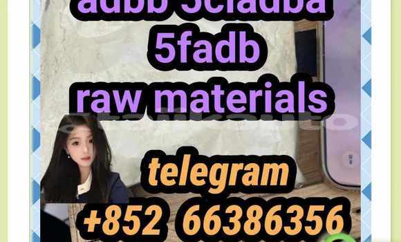 Medium with watermark 11