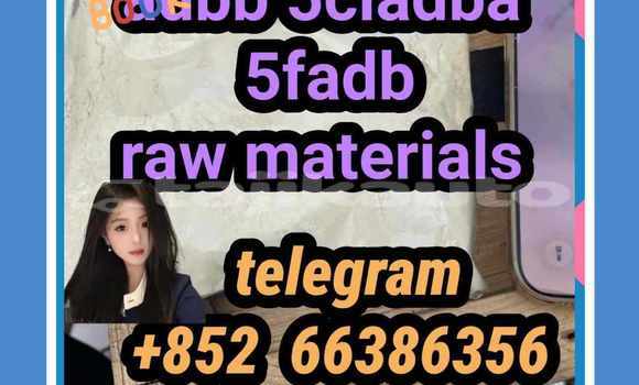 Medium with watermark 13