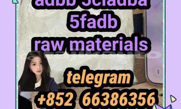 Medium with watermark 14