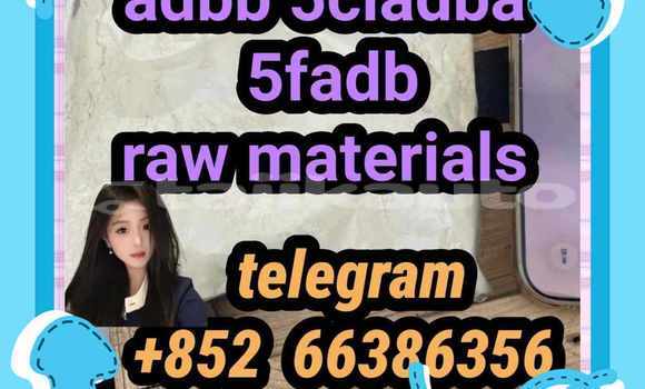 Medium with watermark 15
