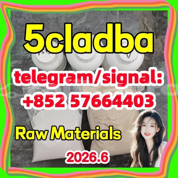Big with watermark 51