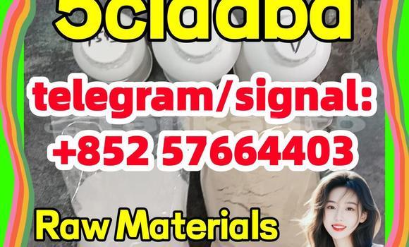 Buy 5cl-adb-a raw material in Chorku in Sughd Buy 5cl-adb-a raw material in Chorku in Sughd