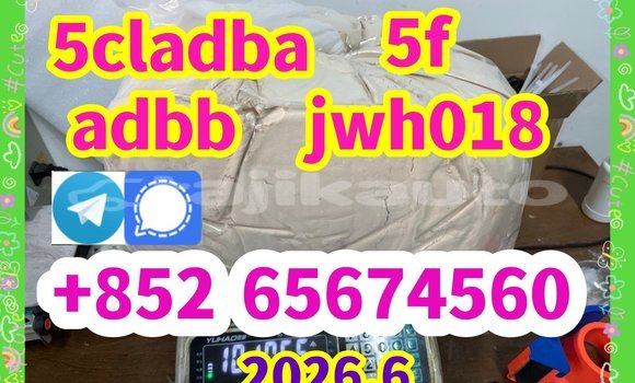 Buy 71368-80-4 in Chorku in Sughd Buy 71368-80-4 in Chorku in Sughd
