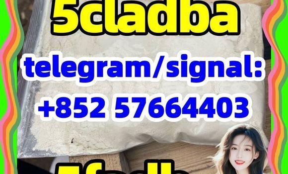 Medium with watermark 58