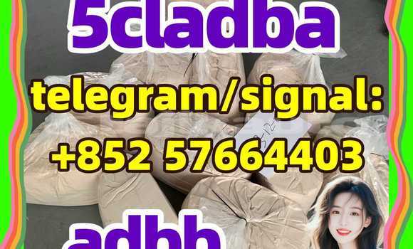 Medium with watermark 59