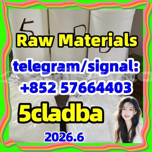 Big with watermark 510
