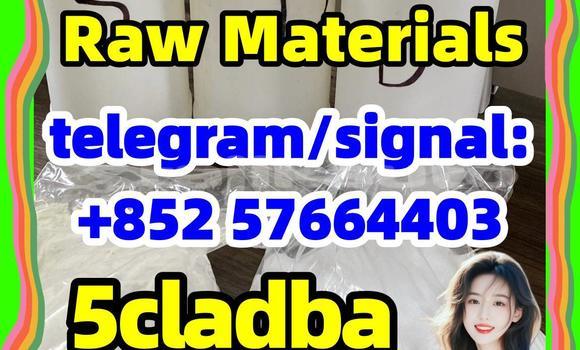 Medium with watermark 510