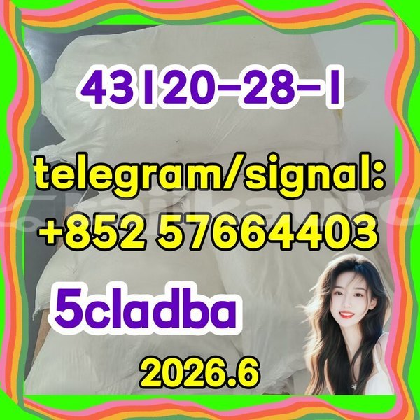 Big with watermark 511