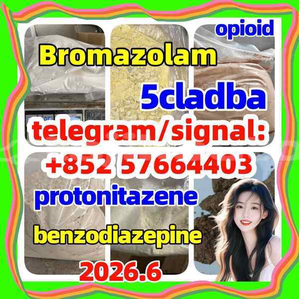 Big with watermark z1