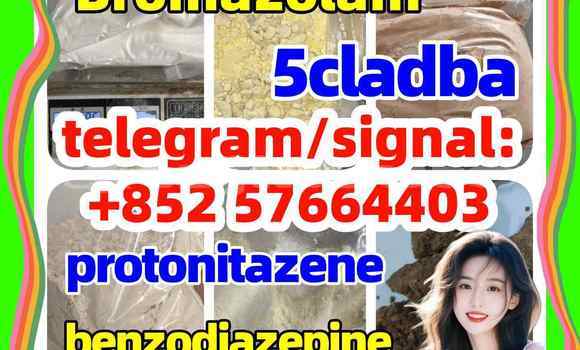 Medium with watermark z1