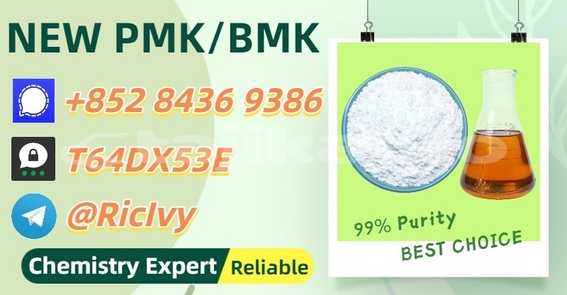 Big with watermark horch 830 sughd matcha 31439