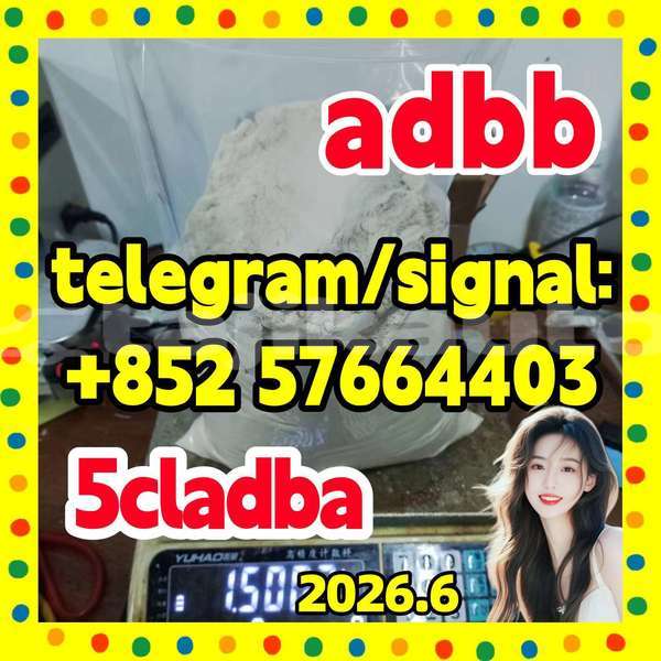 Big with watermark 55