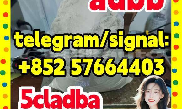 Medium with watermark 55
