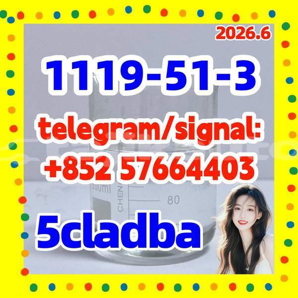 Big with watermark z3