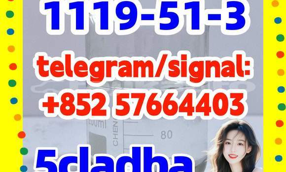 Medium with watermark z3