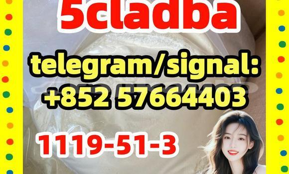 Medium with watermark 58