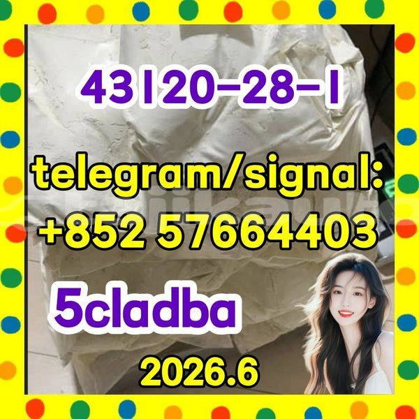 Big with watermark 511