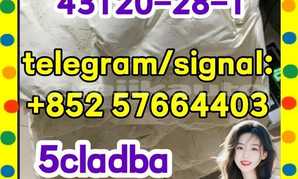 Medium with watermark 511