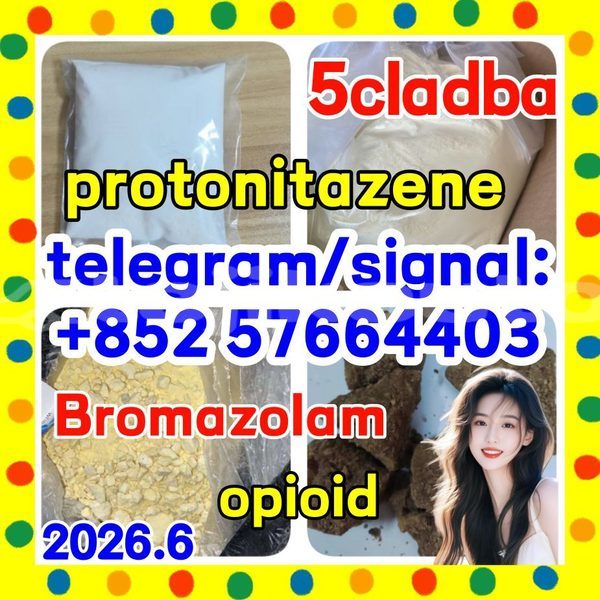 Big with watermark z2