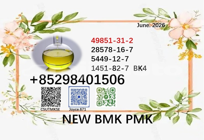 Big with watermark 49851 74