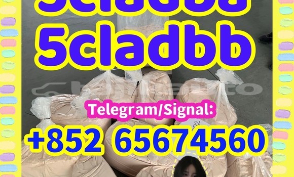 Medium with watermark img 02qswd26 %e5%89%af%e6%9c%ac