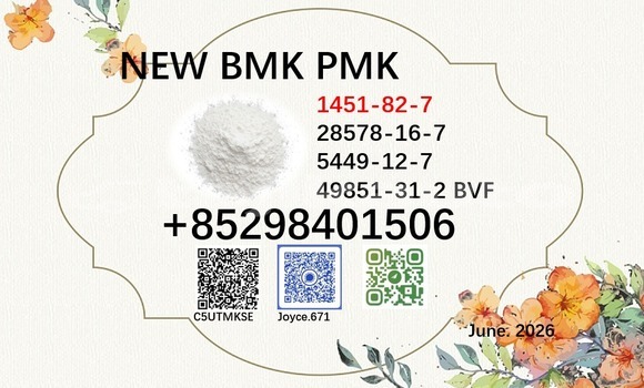 Medium with watermark 1451 73