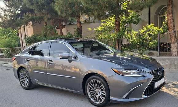 Buy Used Mercedes-Benz C–Class Other Car in Dangara in Khatlon