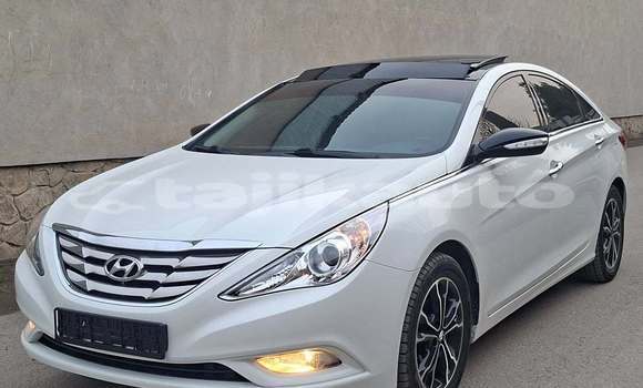 Buy Used Hyundai Sonata White Car in Isfara in Sughd