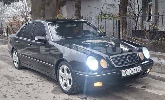 Buy Used Mercedes-Benz 230 Black Car in Ayni in Sughd