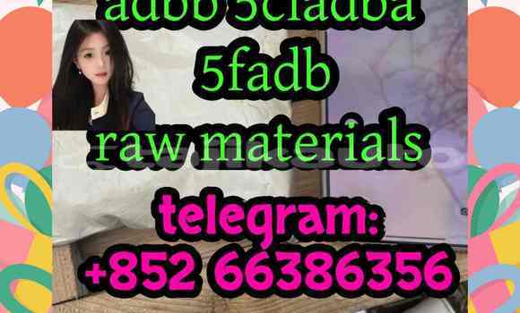 Medium with watermark 1