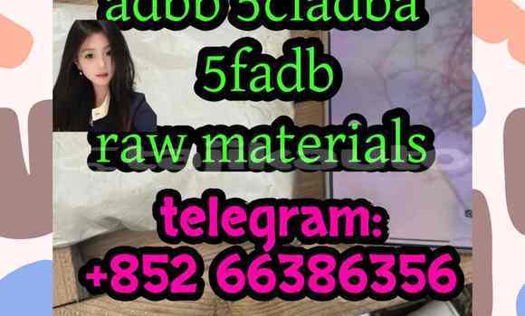 Medium with watermark 5