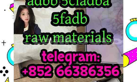 Medium with watermark 6
