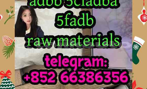 Medium with watermark 8